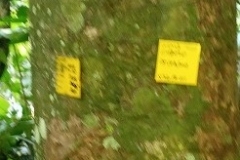 Penandaan-Batang-dengan-Label